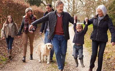 Understanding Flexible Life Interest Trusts
