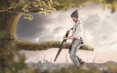 The Top Estate Planning Mistakes to Avoid