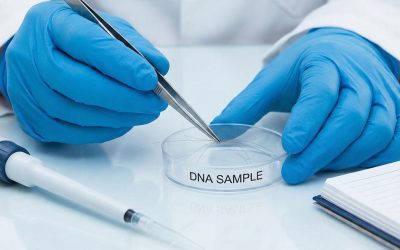 Unlocking the Truth: How DNA Testing Supports Inheritance and Family Relationship Claims